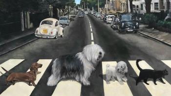 Esta colección de retratos al óleo representa a los compañeros caninos de personajes influyentes