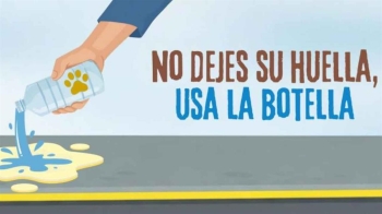 El ayuntamiento regalará 14.000 botellas gratuitas a todos los dueños 