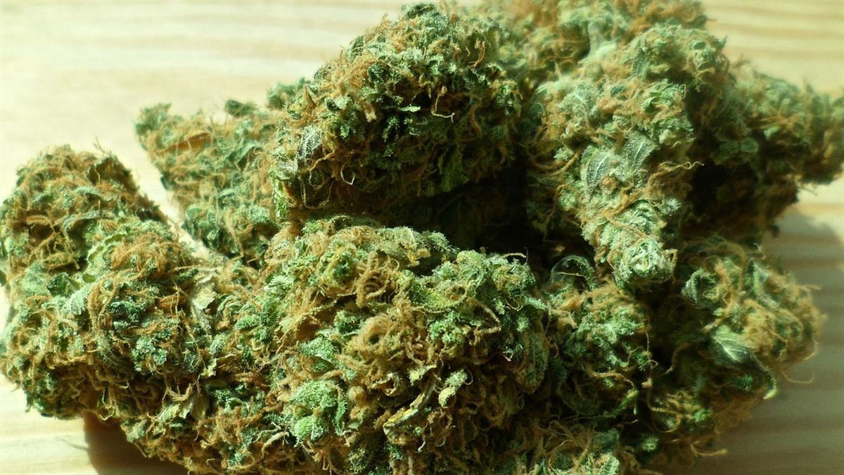 La Policía Nacional ha arrestado a cuatro narcotraficantes