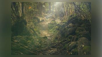 Se realizará el próximo día 20 de noviembre