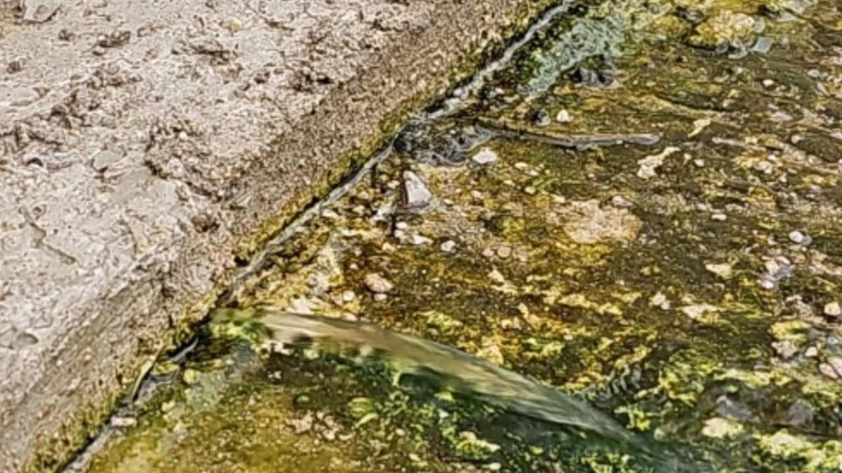 No podrán abrirse este verano debido a la detección de grandes irregularidades