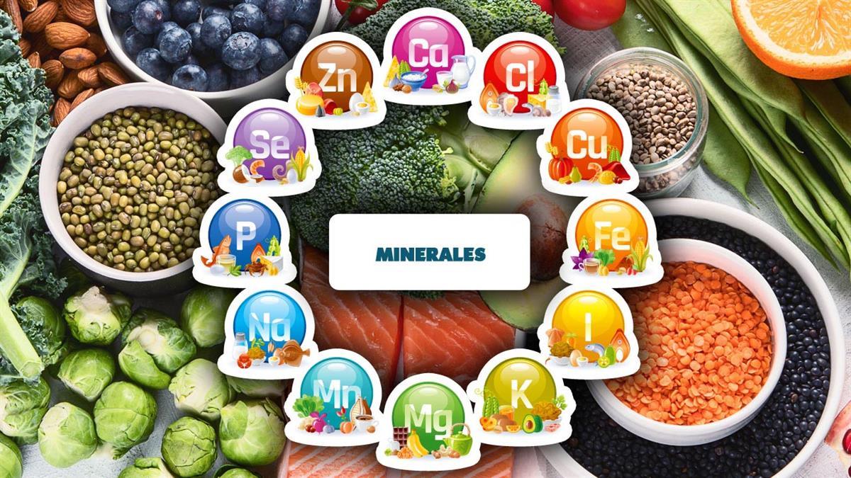 Empieza el frío y ahora más que nunca tenemos que estar a tope de vitaminas y minerales