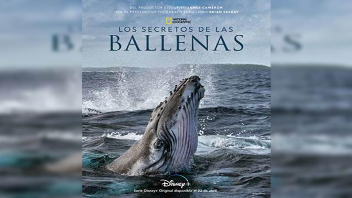 'Los secretos de las ballenas' de James Cameron llega a Disney +