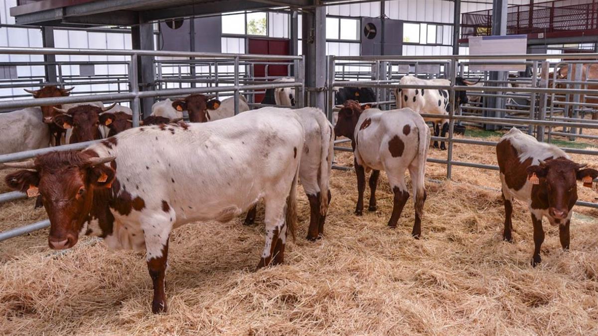 La Despensa de Madrid estará el sábado 16 y domingo 17 de octubre de 10:00 a 14:30h. en el Centro de Transferencia Tecnológica