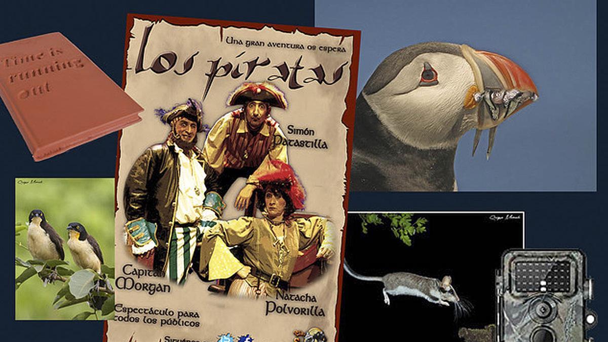 Se celebrará el 22 de abril en la Biblioteca Municipal Ana María Matute 