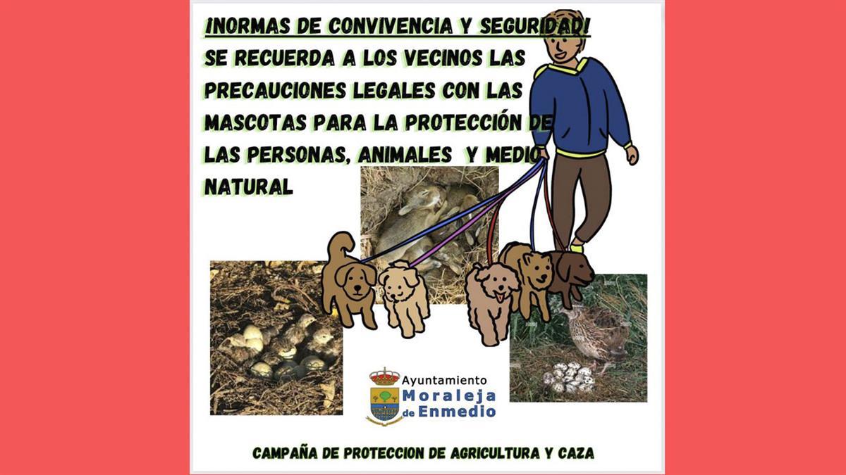 El Ayuntamiento recuerda a los vecinos y vecinas la normativa legal en referencia a las mascotas