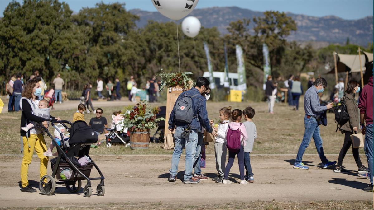 Baja el Impuesto de Actividades Económicas para las empresas que creen empleo joven e indefinido