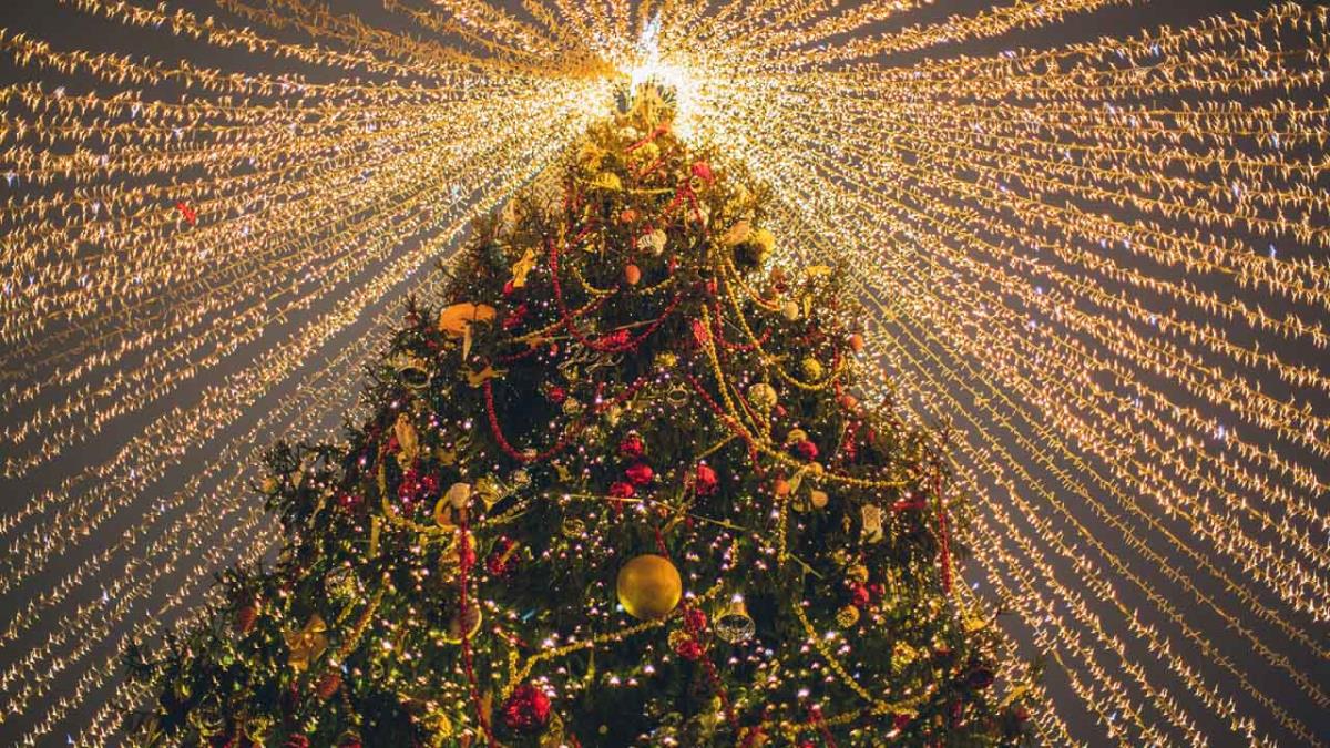 Las actuaciones tendrán lugar los días 4,6,7, y 8 de diciembre entre las 19:00 y las 20:00