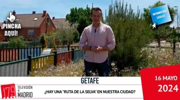 El PP denuncia que "la maleza y las malas hierbas crecen sin control"