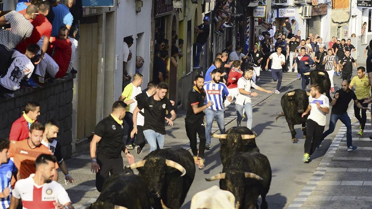 El día 27 de agosto los argandeños podrán disfrutar de este evento