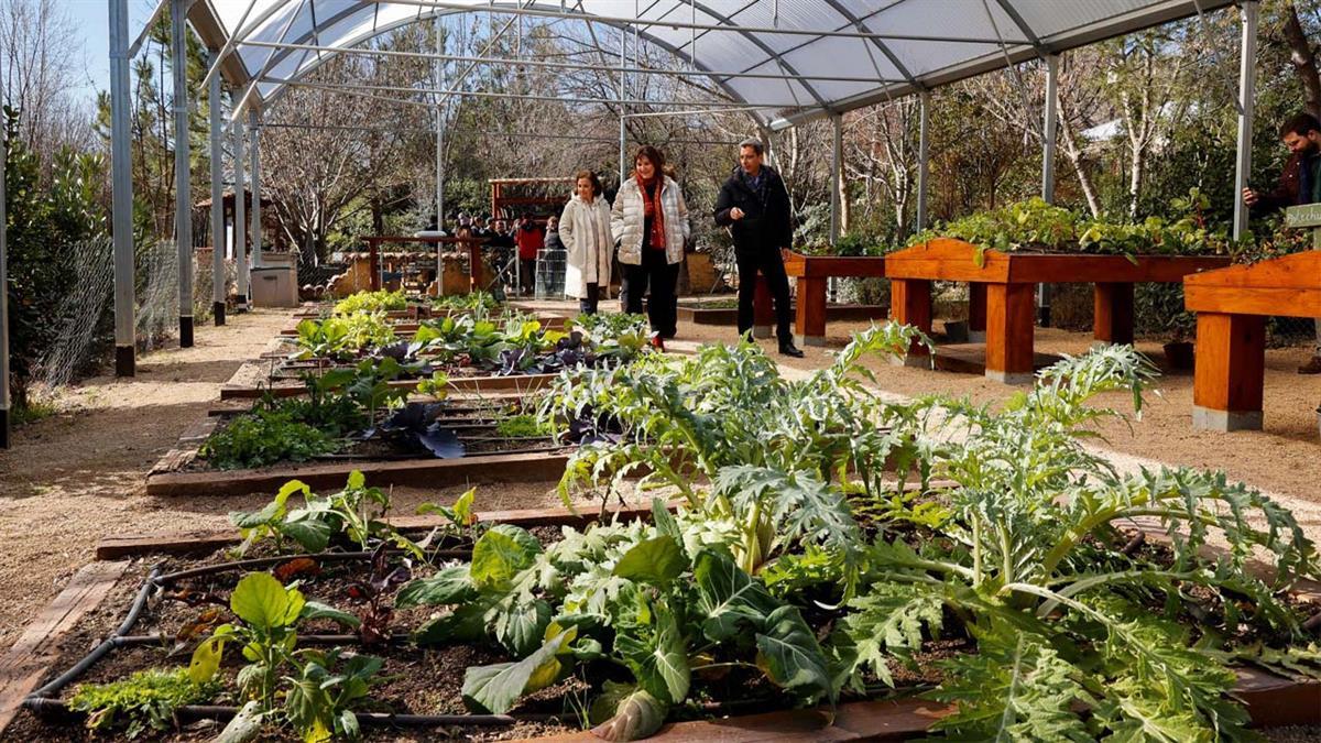 Se ha renovado y ampliado el invernadero principal del Aula Medioambiental, que podrá ampliar su oferta de actividades gracias a las mejoras en sus instalaciones