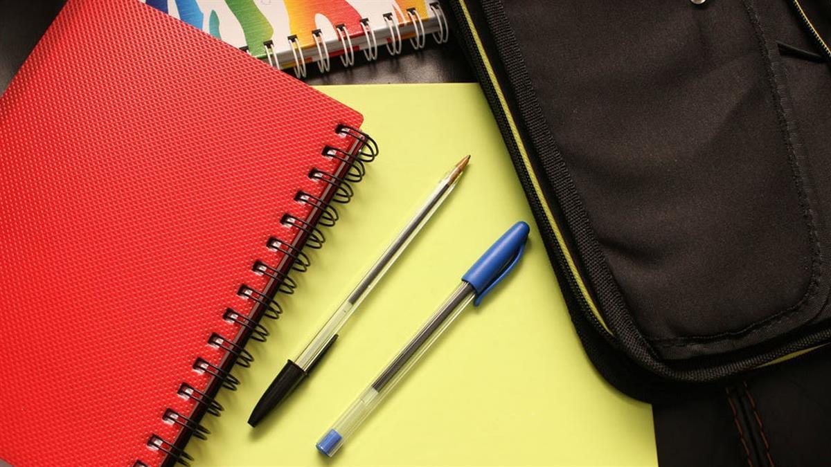 Durante los días 24 y 31 de agosto en el Alcampo del Gran Plaza 2 