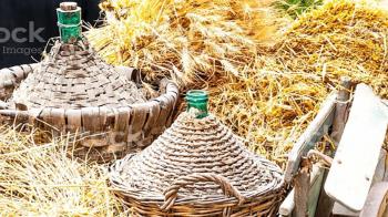 Tras su gran éxito durante la primera convocatoria, la ciudad podrá volver a disfrutar de estos ciclos durante los fines de semana