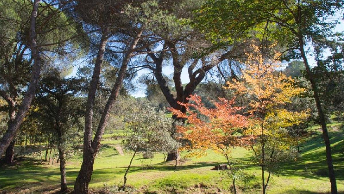 El PSOE de Majadahonda lidera esta propuesta que supondrá el ahorro anual de medio millón de euros 