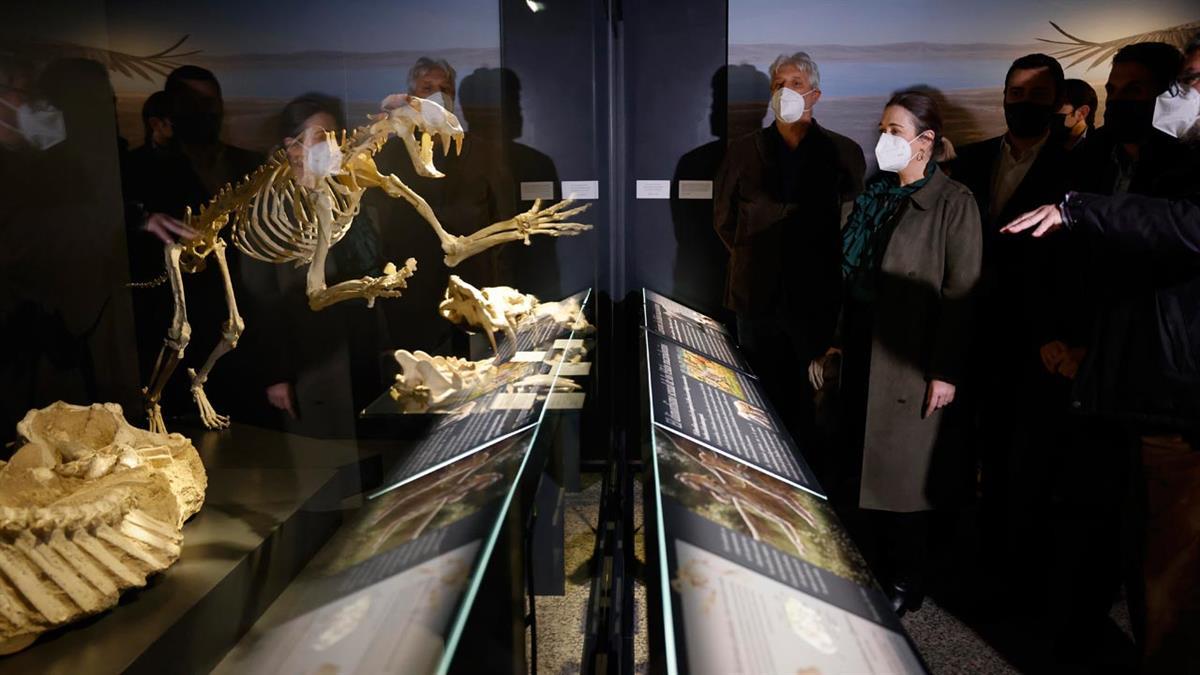 Esta ampliación complementará el proyecto de musealización y supondrá un cambio trascendental no solo físico, sino de la propia naturaleza de la Institución