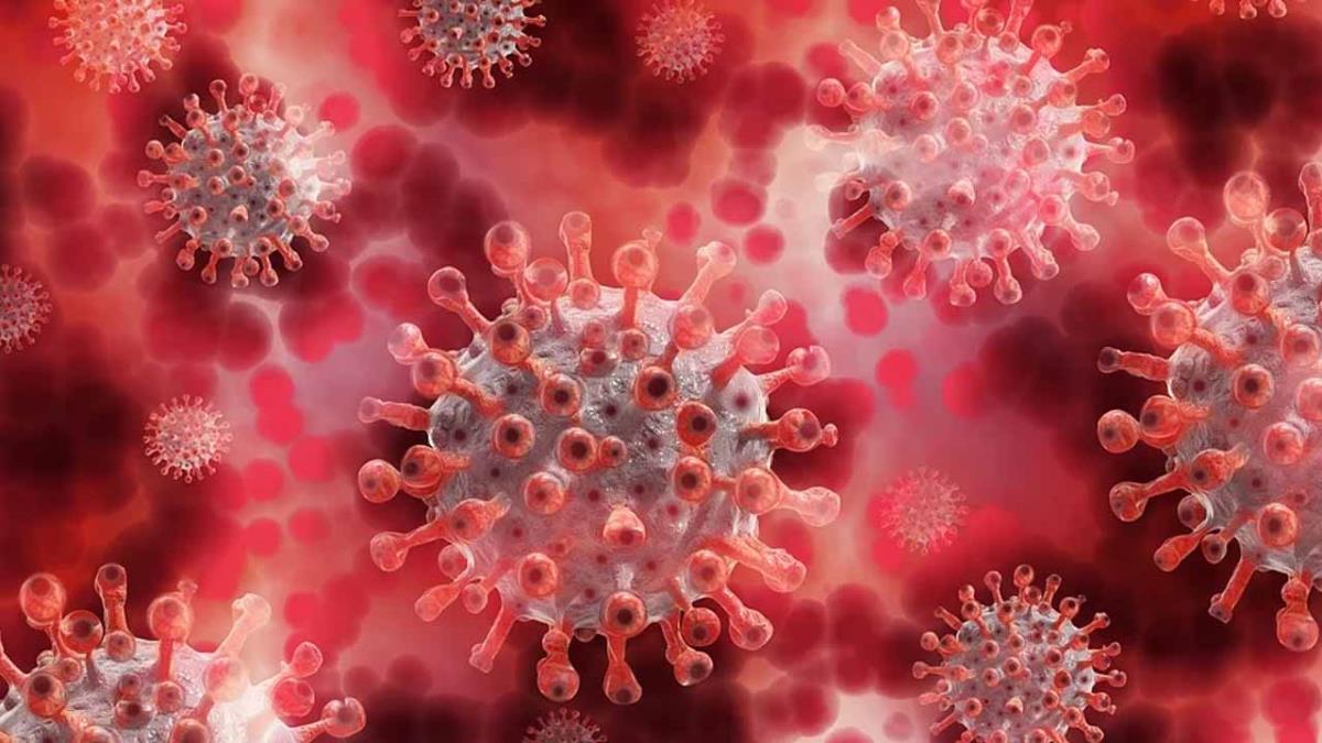 Según la OMS aparecerán más variantes del virus 