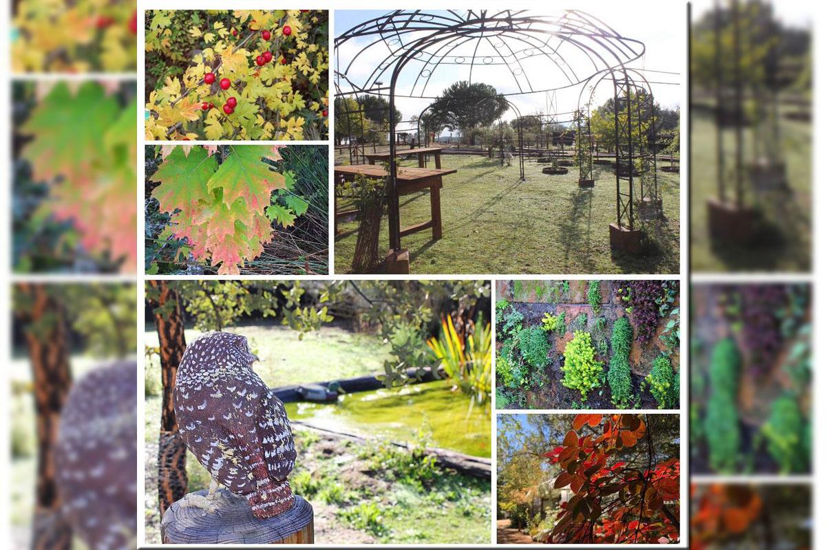 Pozuelo impulsa el desarrollo sostenible y las actividades al aire libre 