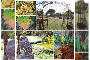 Pozuelo impulsa el desarrollo sostenible y las actividades al aire libre 