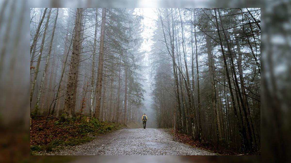 El periodo de preinscripción comienza el próximo lunes 25 de abril