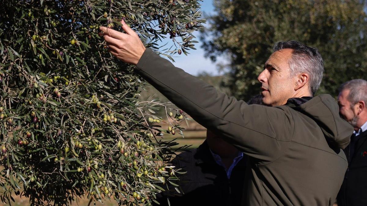 La Comunidad de Madrid incluye más ayudas en sus presupuestos de 2026