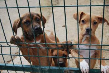 Tras las obras de remodelación, reparación y mejoras llevadas a cabo en el centro