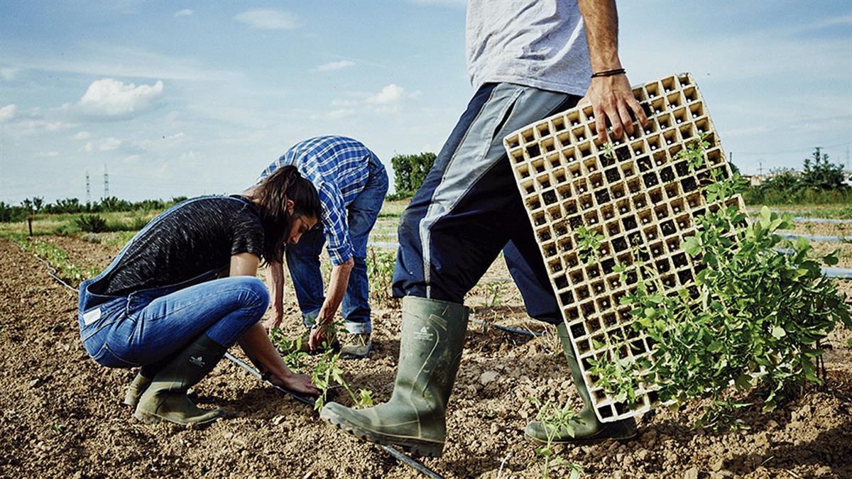 Esta zona ya cuenta con 24 hectáreas de regadío y 20 de secano