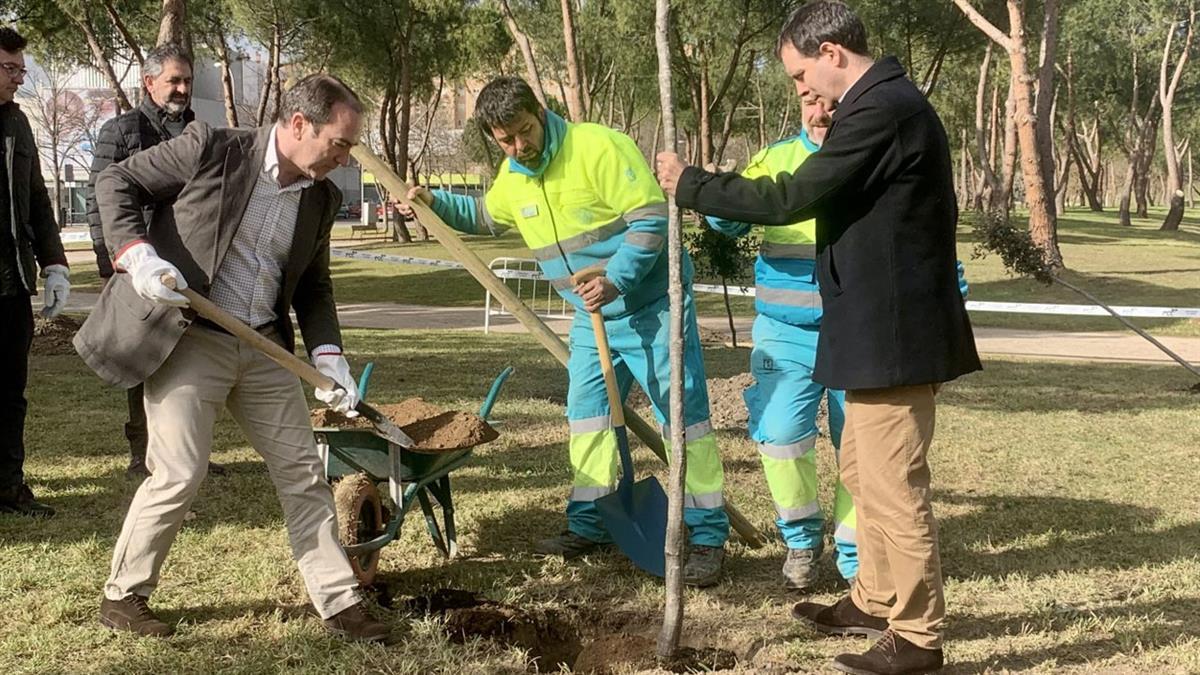 El Ayuntamiento pone en marcha más de 7.500 nuevas plantaciones en 11 distritos 
