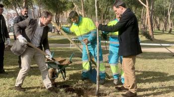 El Ayuntamiento pone en marcha más de 7.500 nuevas plantaciones en 11 distritos 