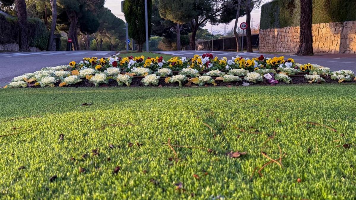 El Ayuntamiento renueva los macizos florales del municipio