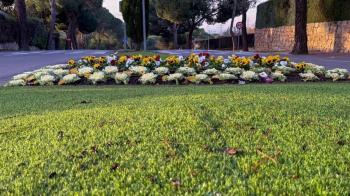 El Ayuntamiento renueva los macizos florales del municipio