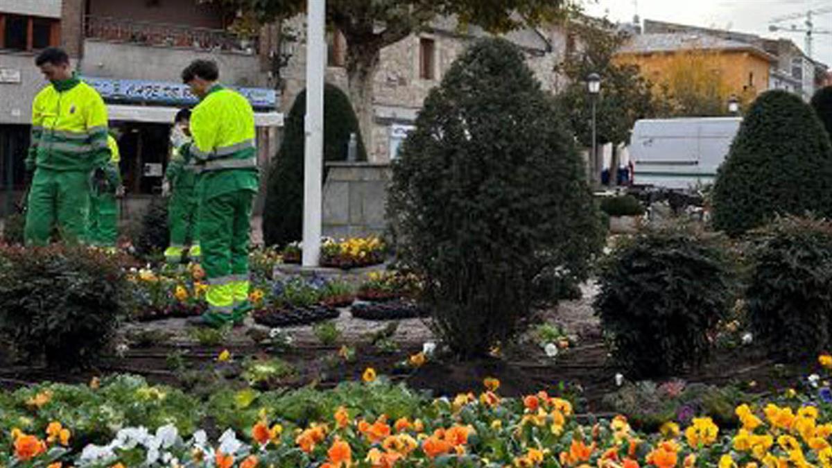 Se están realizando plantaciones en diferentes puntos del municipio