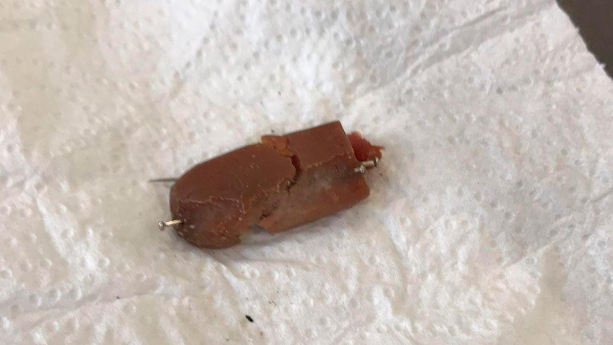 La Clínica Veterinaria La Avanzada ha alertado sobre el hallazgo