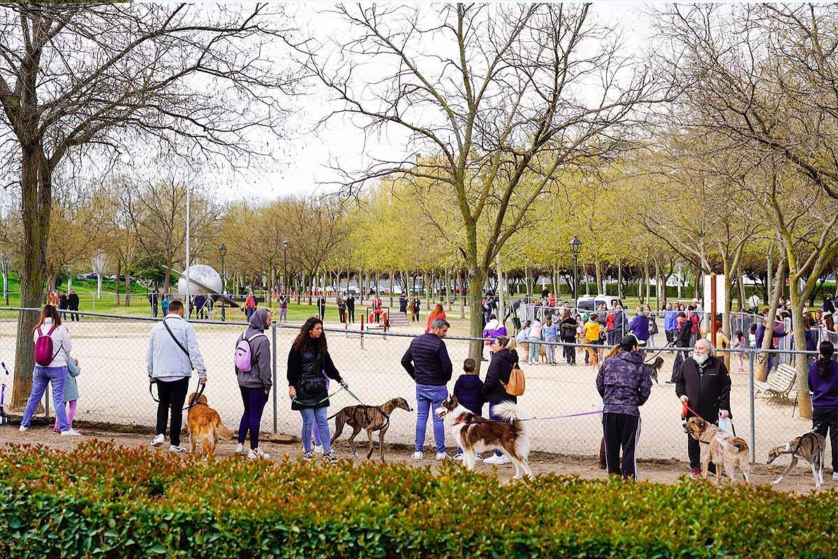 Se ha celebrado con una exhibición de la Unidad Canina de la Policía Municipal