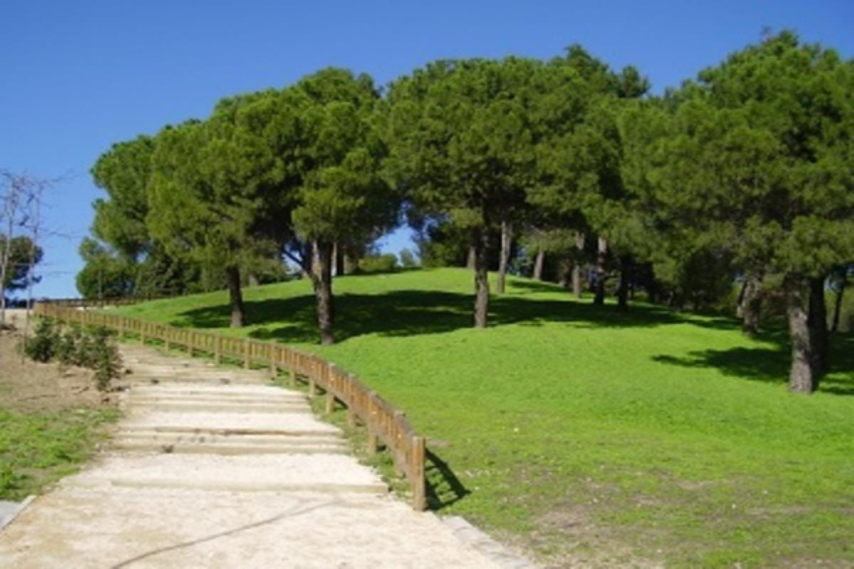 Aumenta el presupuesto en más de un 50% y prohíbe el uso de químicos contra la procesionaria