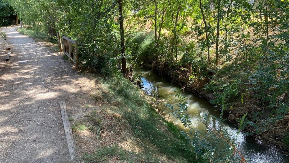 El Gobierno de Judith Piquet aprueba el proyecto para la regeneración de este pulmón verde