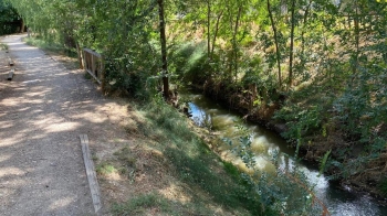 El Gobierno de Judith Piquet aprueba el proyecto para la regeneración de este pulmón verde