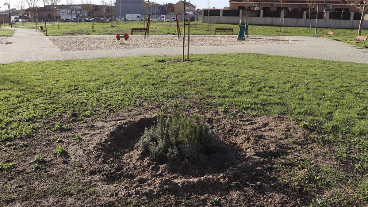 Ese espacio verde fue uno de los grandes perjudicados por Filomena en el 2021