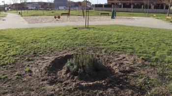 Ese espacio verde fue uno de los grandes perjudicados por Filomena en el 2021