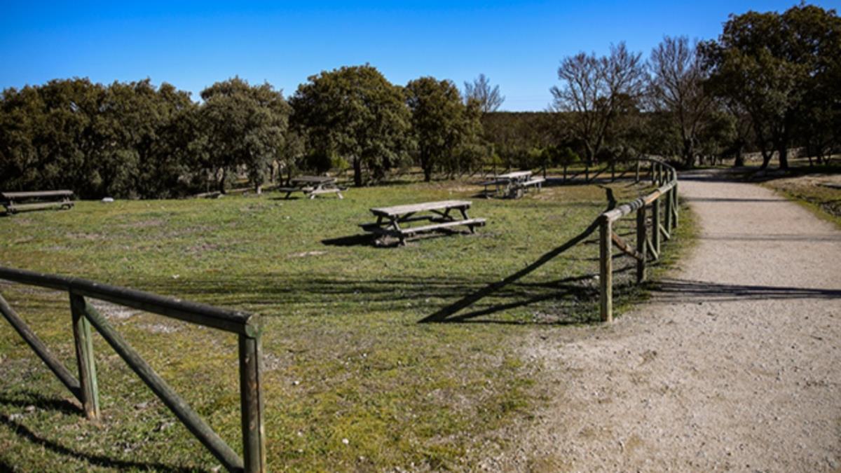 El objetivo es mejorar los elementos vegetales y la accesibilidad
