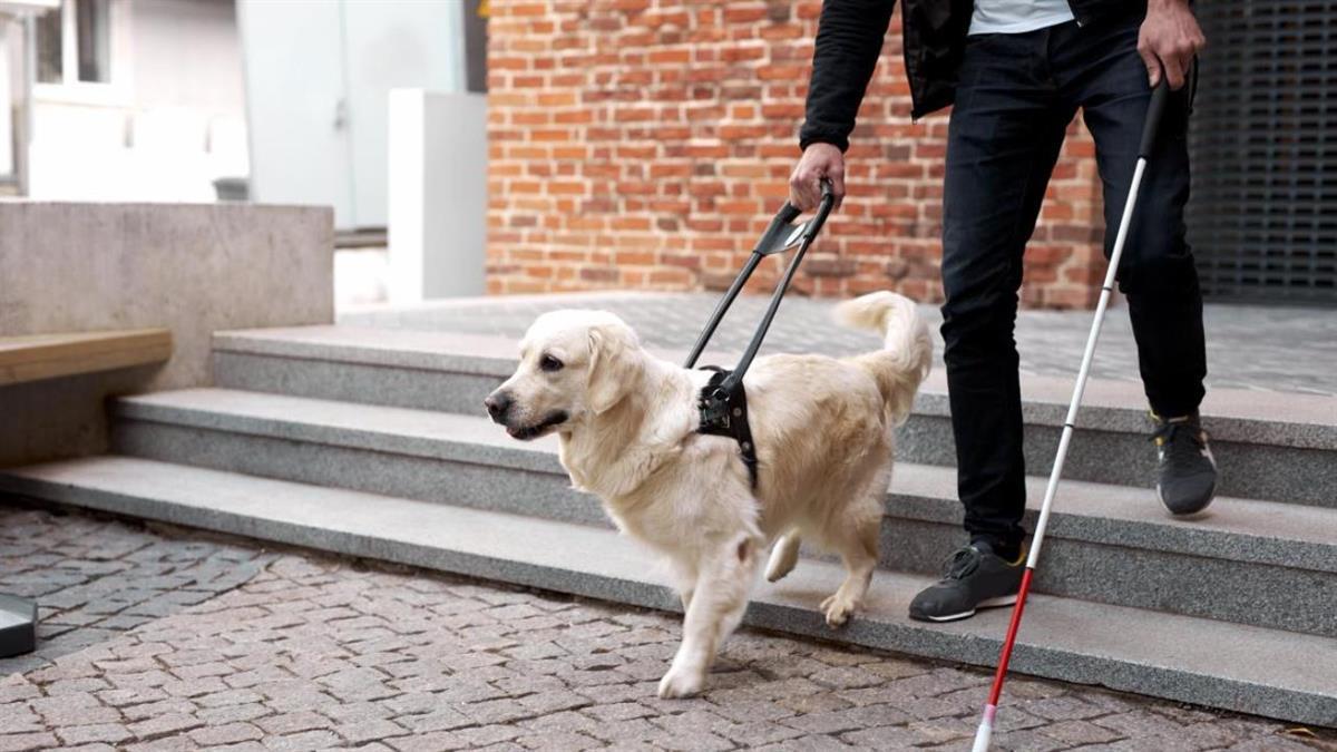 Podrán recibir atención en el Centro de Recursos Educativos de la ONCE