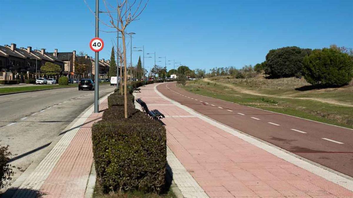 El Ayuntamiento está sustituyendo árboles dañados por nuevos ejemplares, para evitar caídas de ramas y accidentes