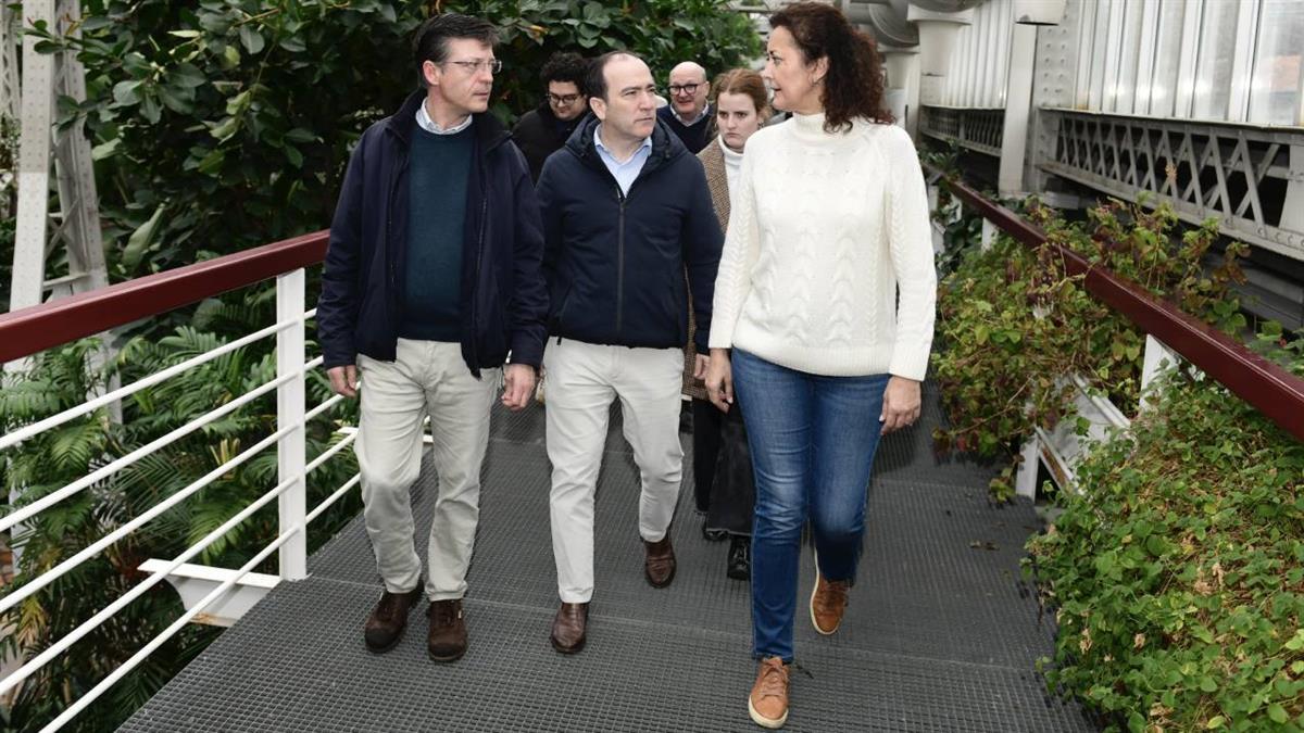 Se plantarán 270 árboles y más de 10.000 arbustos