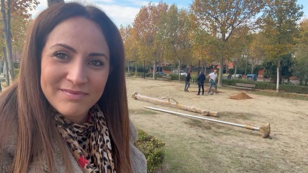 El proyecto cuenta con una inversión de 100.000 euros e incluirá una tirolina y nuevos columpios en este espacio de la calle Pensamiento.