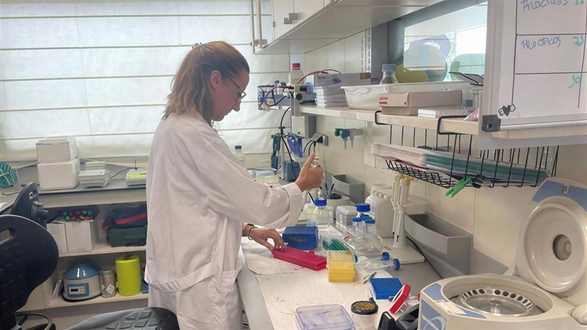 El empleo marca nuevos récords con más de 523.000 ocupados adicionales en un año, máximo histórico de mujeres afiliadas y de trabajadores extranjeros