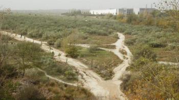 La Comunidad de Madrid ha aprobado transformar 80.0000 metros cuadrados en zonas verdes