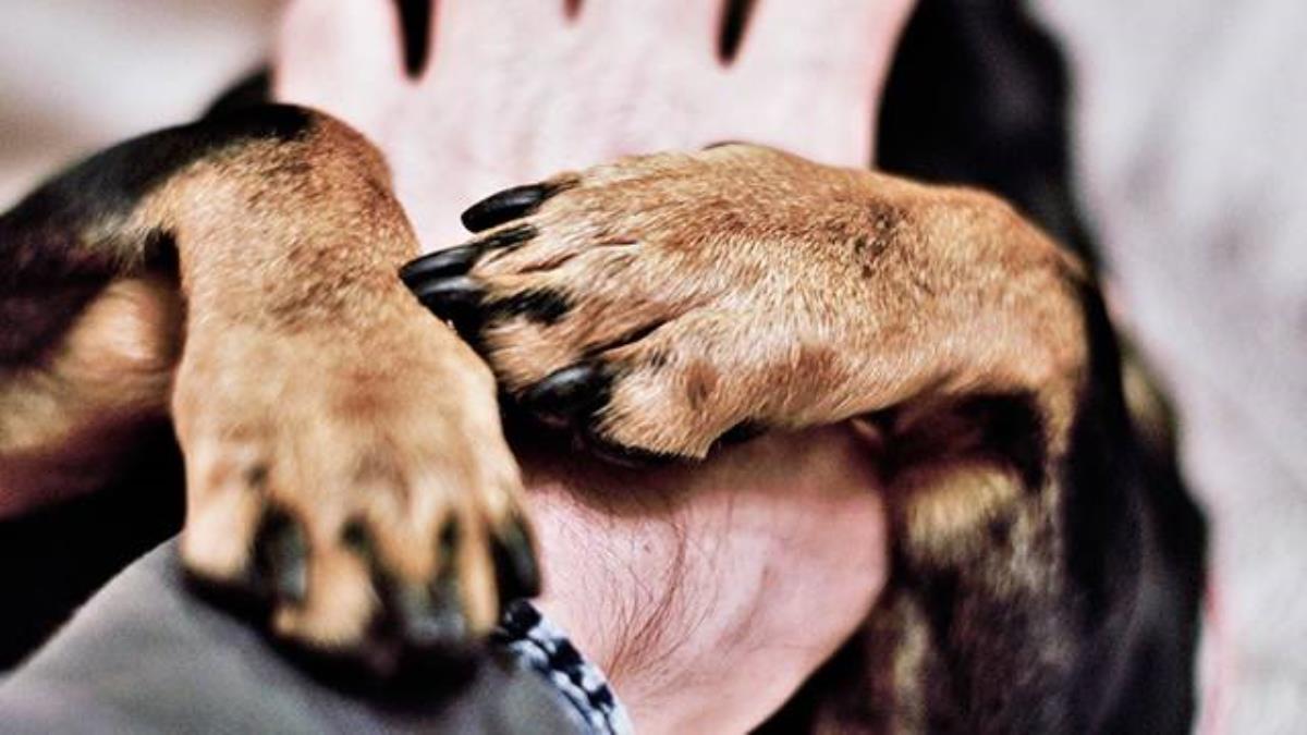 Se suman a los talleres ordinarios para personas con discapacidad intelectual que se imparten dos veces por semana