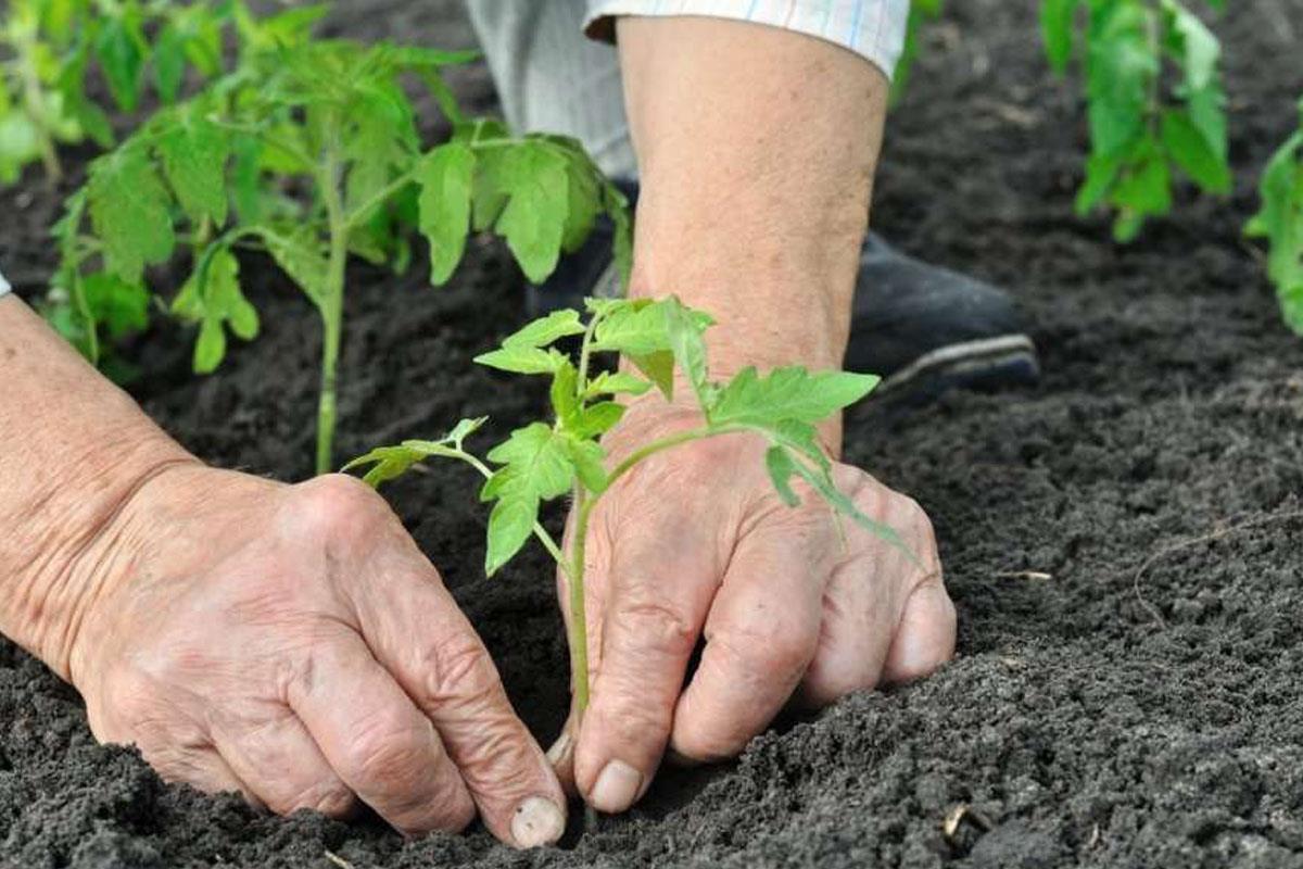 No se requiere inscripción y están dirigidos a personas que quieran formarse y desarrollar una actividad agraria