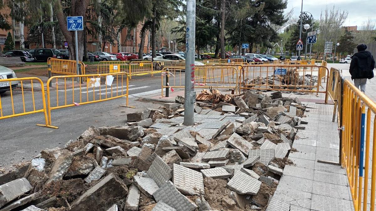 El Ayuntamiento también prevé la plantación de árboles y un nuevo sistema de riego para la zona