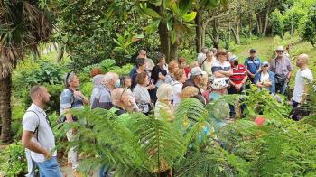 El objetivo es que descubran todos los recursos para su tiempo libre con los que cuentan en la ciudad y puedan hacerlo en grupo para alejarse de la soledad 