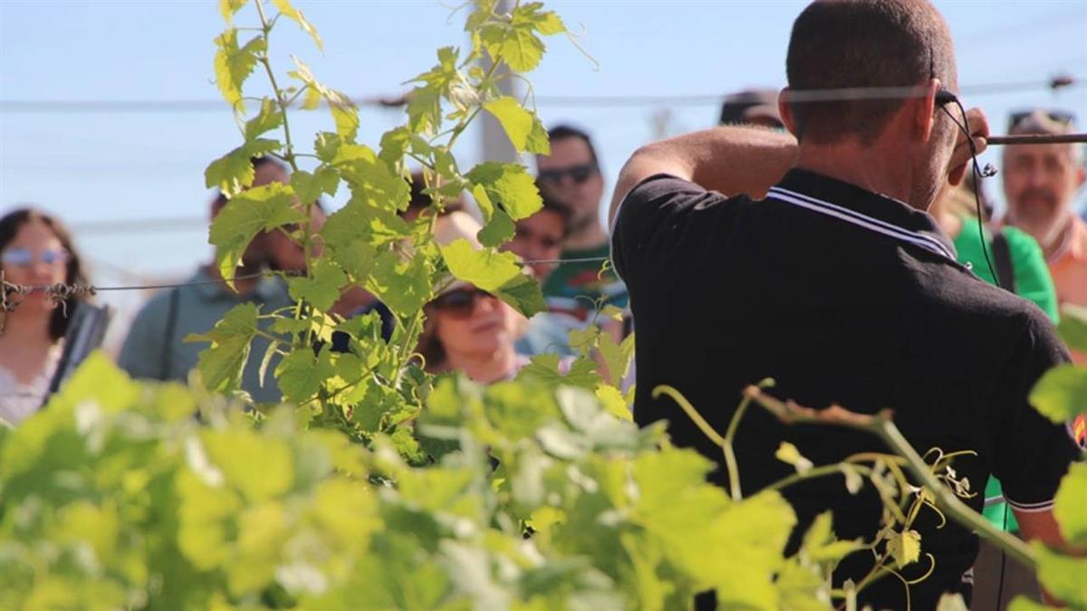 Por cuarto año consecutivo 